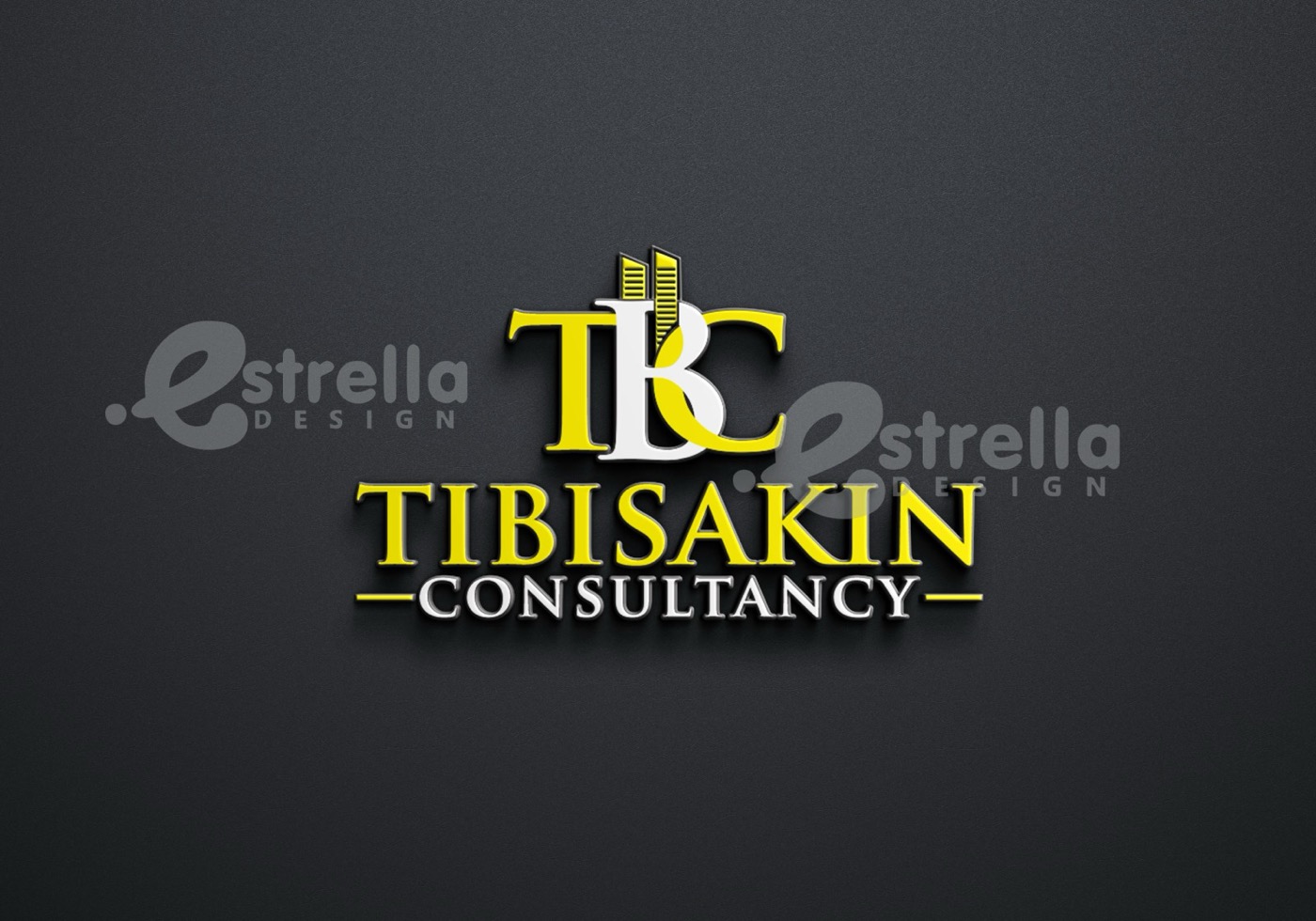 Tibisakin Consultancy — Logo & Identity